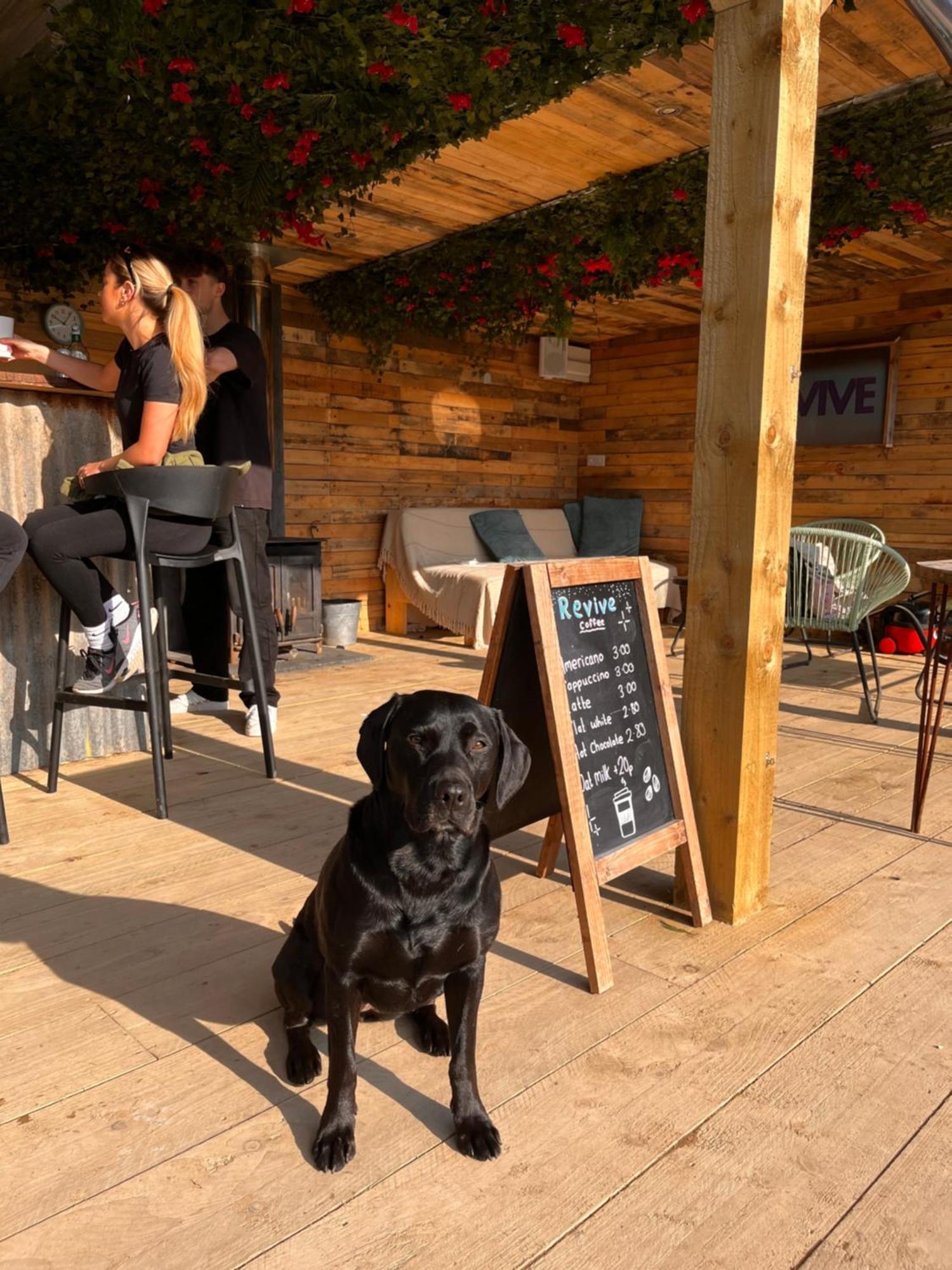 Rostrevor Mountain Lodge - Glamping Pods - Revive Sauna & Hot Tubs Luaran gambar